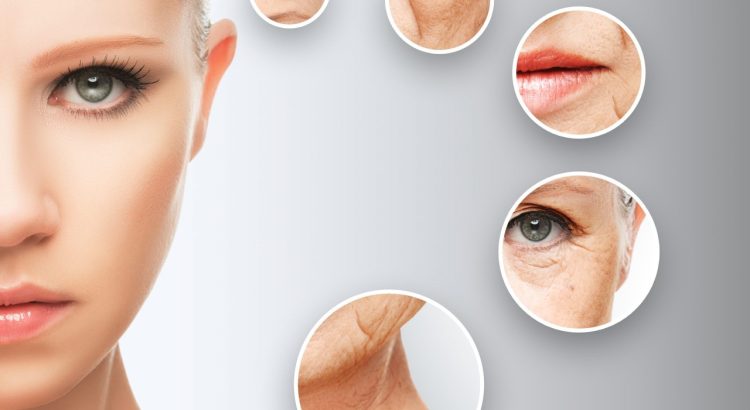 Anti-Aging Technology: Myth or Scientific Fact?