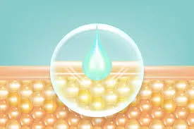 Anti-Aging Technology: Myth or Scientific Fact?